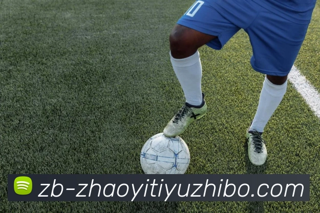 超艺体育直播平台生态图